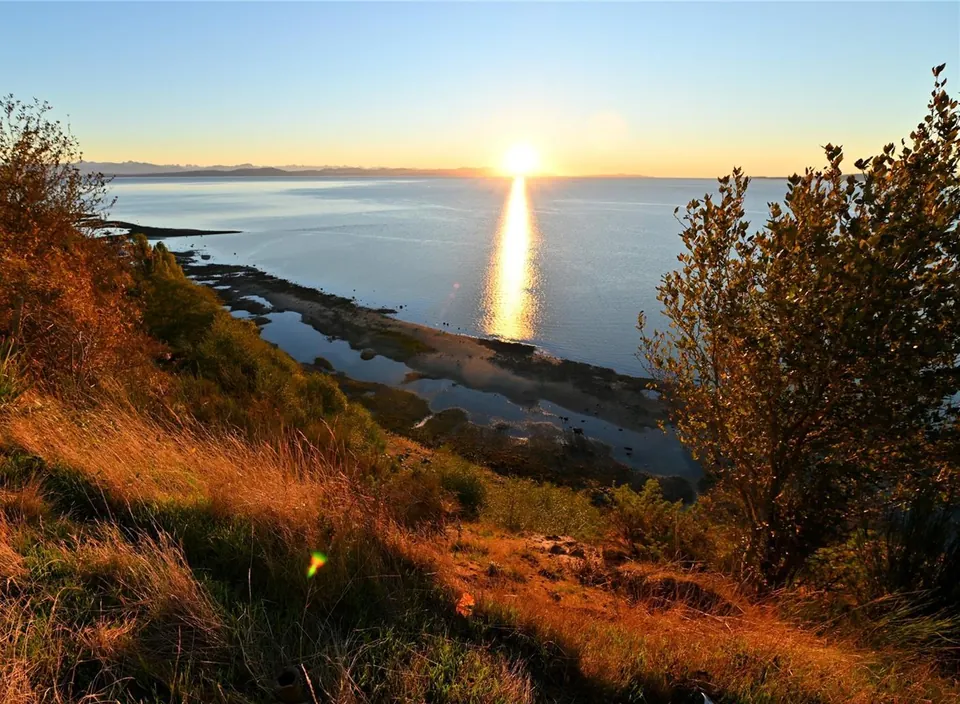 Low sun over the water and shoreline near the Filberg House.